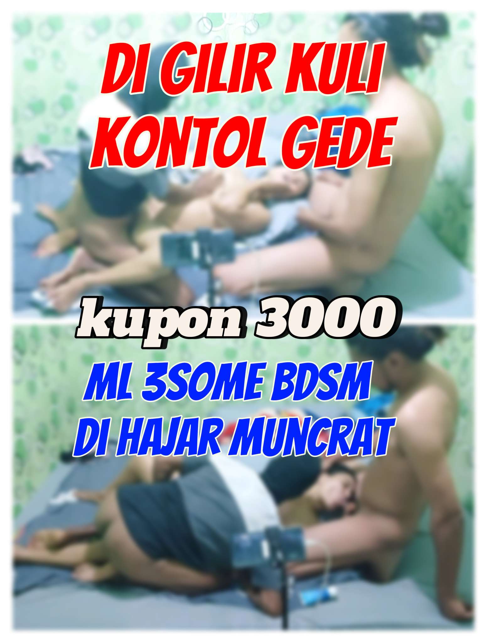 Openfans : di gilir kuli